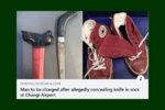 Thumbnail for the post titled: Navigating Singapore’s Weapons Regulations for Collectors